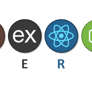 Full-Stack Development (MERN Stack)